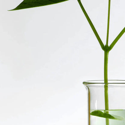 HEARTLEAF PORE CONTROL CLEANSING OIL 200ML